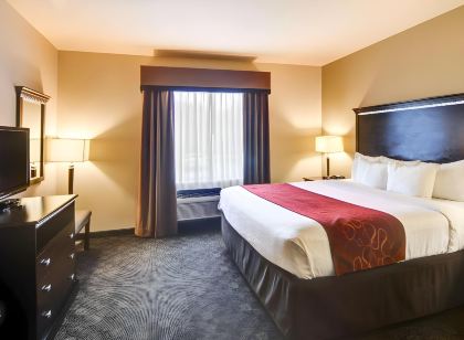 Comfort Suites Arlington - Entertainment District