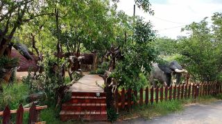 elephant-trail-guesthouse-and-backpackers