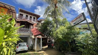 flamingo-guesthouse
