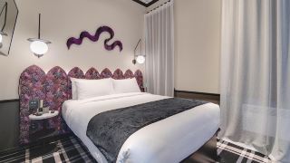 naumi-studio-wellington