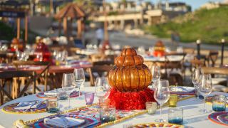 zadun-a-ritz-carlton-reserve