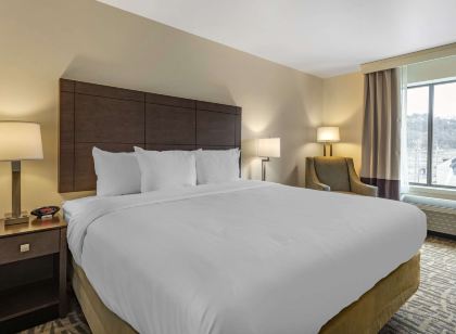 Comfort Inn & Suites Pittsburgh-Northshore