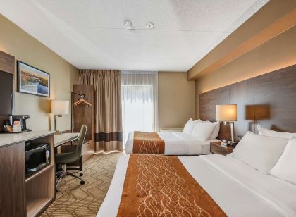 Comfort Inn Lakeshore