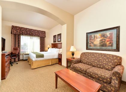 홀리데이 인 익스프레스 호텔 & 스위트 라스 크루스