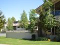 alpine-villa-21-1-br-condo