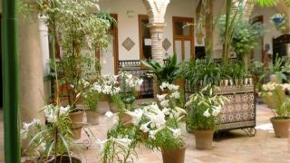 hostal-comercio