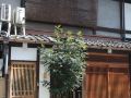 kyo-machiya-miyabi-shimoza-an-kamanza-tei