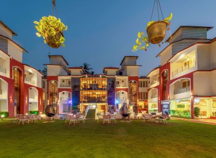 Shanti Solitaire, Arpora