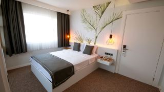 luis-otel