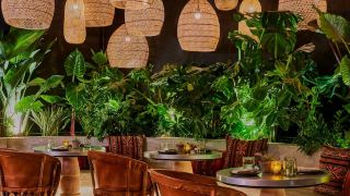 tommie-hollywood-part-of-jdv-by-hyatt