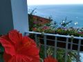 positano-comfortableapt-with-gorgeous-lemongarden