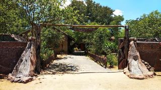 elephant-trail-guesthouse-and-backpackers