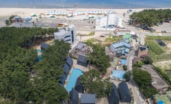 Pohang Slow Ocean Poolvilla