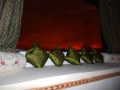 gulmohar-guest-house