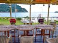 seatiger-island-in-shodoshima
