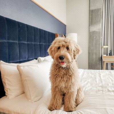 Standard Two Queen Guestroom Ada Standard Two Queen Guestroom Ada Jasper Hotel Promo Code