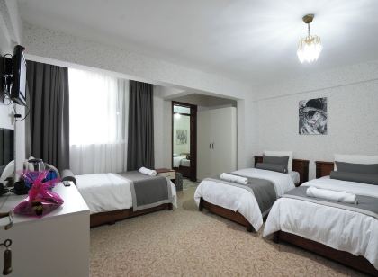 OzenTurku Hotel