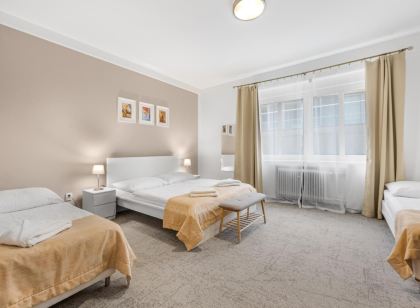 佩蒂特高級旅館