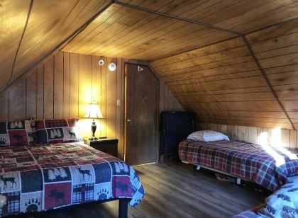 Welcome to The Lyon's Den in the beautiful East Village of Shaver Lake