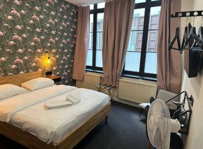 BED Collège