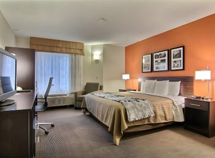 Sleep Inn Ormond Beach - Daytona