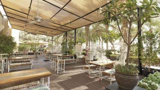 fairmont-the-palm