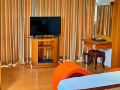 hanz-happy-hotel