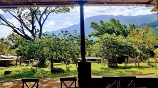 jungle-hut