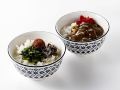 keio-presso-inn-tokyo-kudanshita