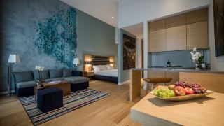 the-wellem-dusseldorf-part-of-hyatt