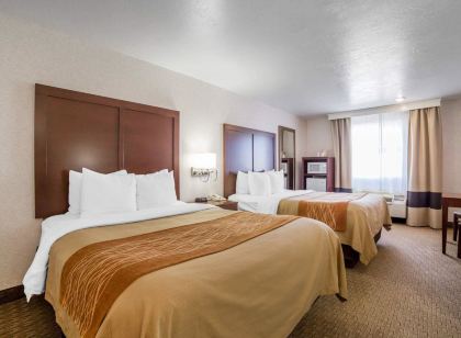 Comfort Inn Elko