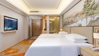 vienna-anyi-jinding-hotel