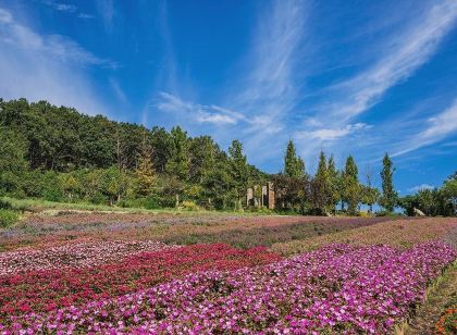 연천 허브빌리지 24년 7월 리모델링 전 객실 취사 가능