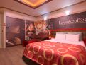 room overview picture