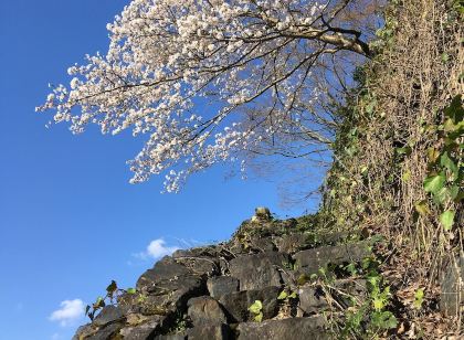 食堂民宿 さと山