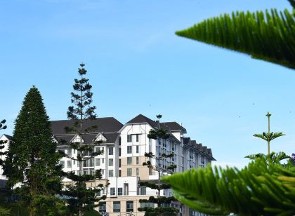 Avillion Cameron Highlands