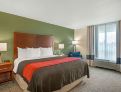 room overview picture