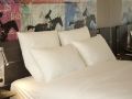 novotel-bishkek-city-center