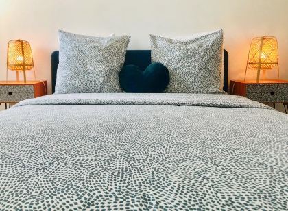 1 Séjour/Cuisine, 1 Chambre et 1 salle de bain privée