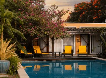 Orchid Tree Wellness Retreat