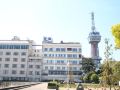 hotel-bokai