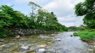 gapyeong-creek-auto-camping-site
