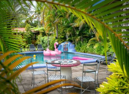 Pink Flamingo Resort