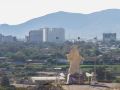 ibis-calama