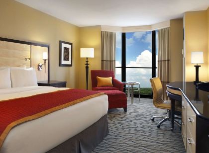 힐튼 로즈먼트 시카고 오헤어