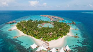w-maldives