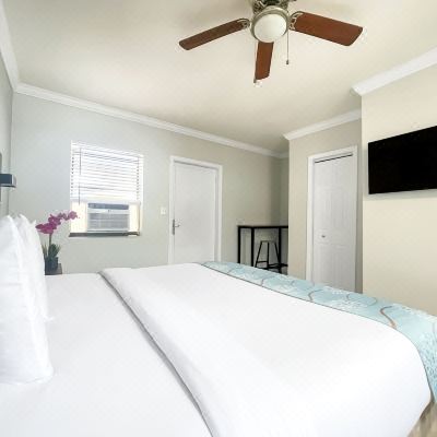 Standard Studio Standard Studio The Palms Promo Code