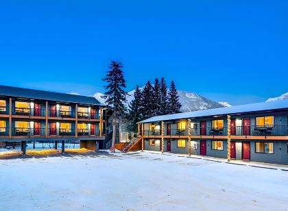 Lamphouse by Basecamp