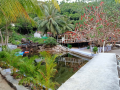 freedom-bungalow-and-resort