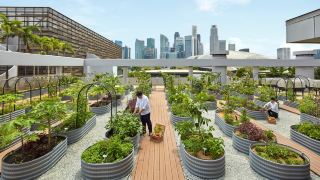 parkroyal-collection-marina-bay-singapore